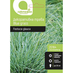 Семена Декоративная трава Голубая трава