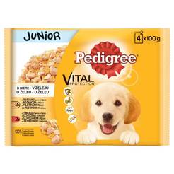 Pouch for puppies Chicken and Beef Junior Pedigree Pouch, 4 x 100 grams