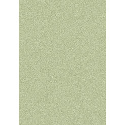 Carpet 120 x 170 cm green Dahlia 91390 Green