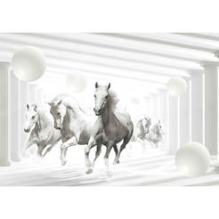 3D Фототапет за стена - Бели коне в галоп 368 x 254см