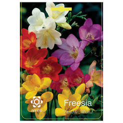 Лампы Freesia Double IVESTO