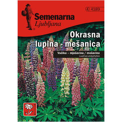 Seeds Lupina multifolia 4189 SEMENARNA