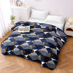 Lightweight winter quilt 200x210cm microfiber 300g/sq.m Mirabel Bran wadding