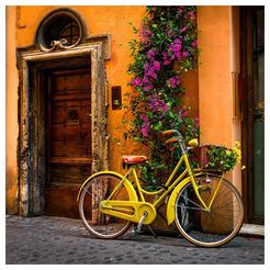 Стеклянная картина велосипед и стена с цветами 30 x 30 см, GL378